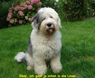 Okay, ich guck ja schon in die Linse!