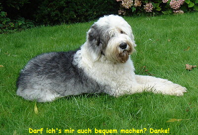 Darf ich's mir auch bequem machen? Danke!