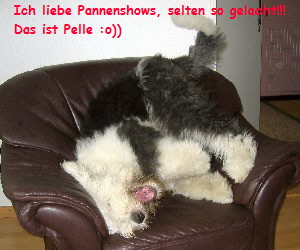 Ich liebe Pannenshows, selten so gelacht!!!
Das ist Pelle :o))