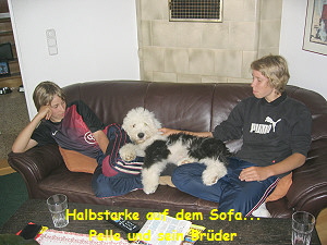 Halbstarke auf dem Sofa...
Pelle und sein Brder
