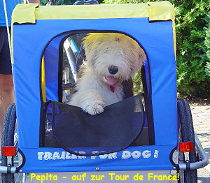 Pepita - auf zur Tour de France!