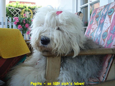 Pepita - so lt sich's leben!