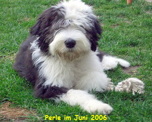 Perle im Juni 2006