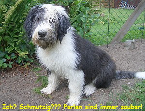 Ich? Schmutzig??? Perlen sind immer sauber!