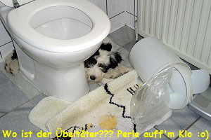 Wo ist der beltter??? Perle auff'm Klo :o)