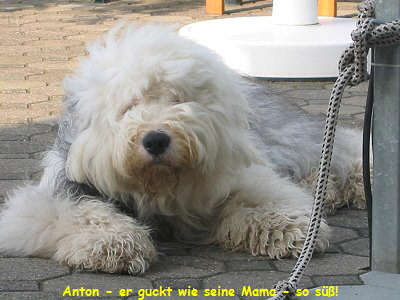 Anton - er guckt wie seine Mama - so s!