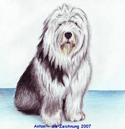 Anton - die Zeichnung 2007