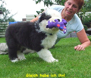 Gleich habe ich ihn!