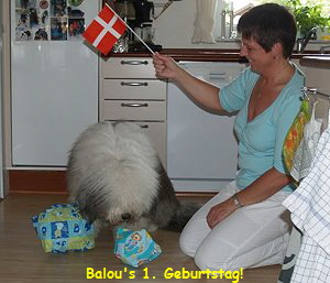Balou's 1. Geburtstag!