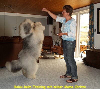 Balou beim Training mit seiner Mama Christa