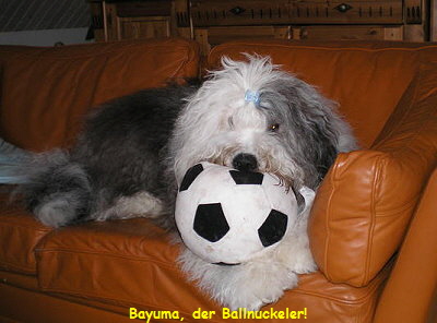 Bayuma, der Ballnuckeler!