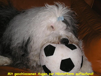 Mit geschlossenen Augen zur Hchstform auflaufend!