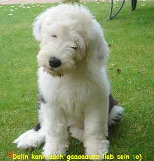 Dalin kann auch gaaaaaanz lieb sein :o)