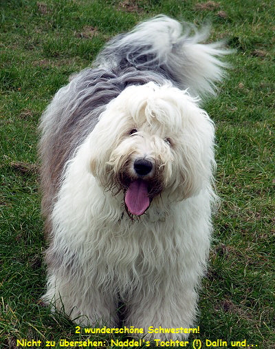 2 wunderschne Schwestern!
Nicht zu bersehen: Naddel's Tochter (!) Dalin und...