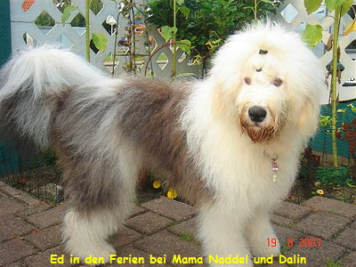 Ed in den Ferien bei Mama Naddel und Dalin