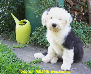 Das ist MEINE Gieskanne!