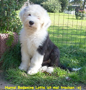 Hurra! Badenixe Lotte ist mal trocken :o)