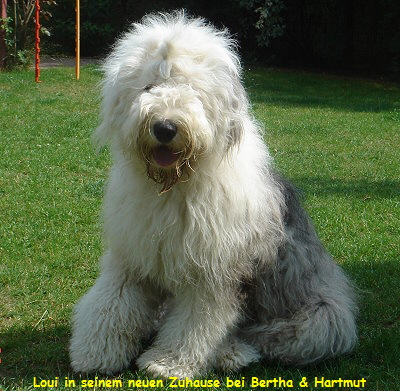 Loui in seinem neuen Zuhause bei Bertha & Hartmut