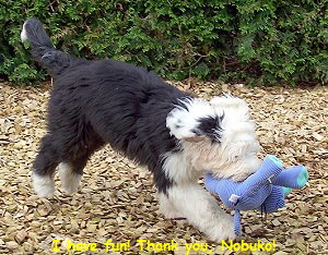 I have fun! Thank you, Nobuko!