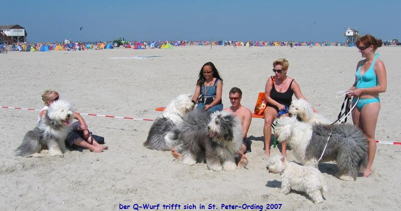 Der Q-Wurf trifft sich in St. Peter-Ording 2007