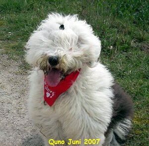 Quno Juni 2007