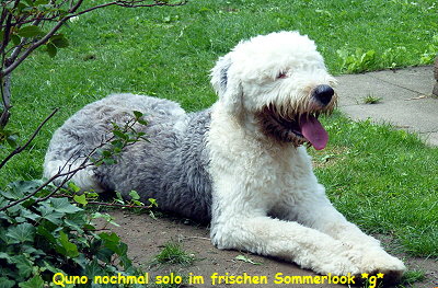 Quno nochmal solo im frischen Sommerlook *g*