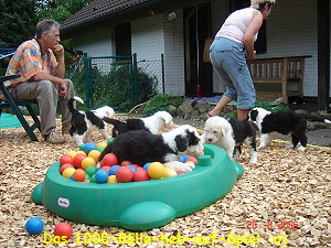 Das 1000-Blle-heb-auf-Spiel :o)