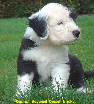 Das ist Bayuma! Dieser Blick...