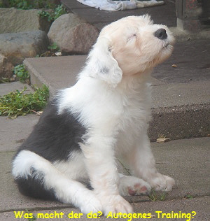 Was macht der da? Autogenes Training?