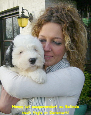 Honey ist ausgewandert zu Belinda
nach Vejle in Dnemark!