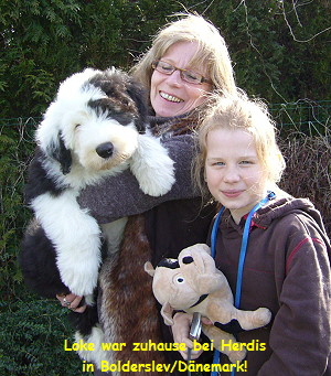 Loke war zuhause bei Herdis
in Bolderslev/Dnemark!