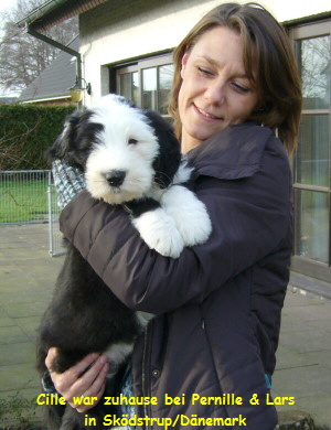 Cille war zuhause bei Pernille & Lars
in Skdstrup/Dnemark