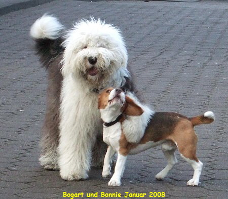 Bogart und Bonnie Januar 2008