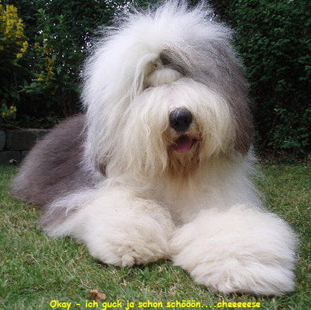 Okay - ich guck ja schon schn....cheeeeese