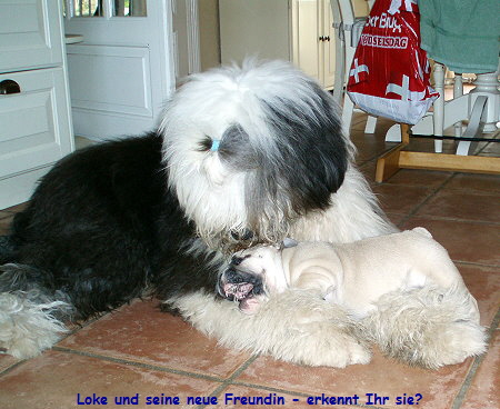 Loke und seine neue Freundin - erkennt Ihr sie?