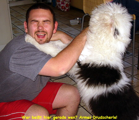 Wer beit hier gerade wen? Armes Drudscherle!