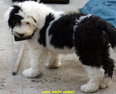 Loona macht sauber!
