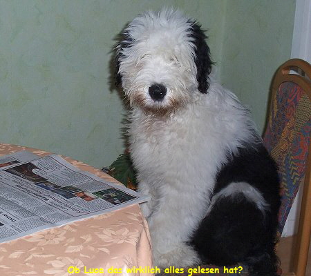 Ob Luca das wirklich alles gelesen hat?