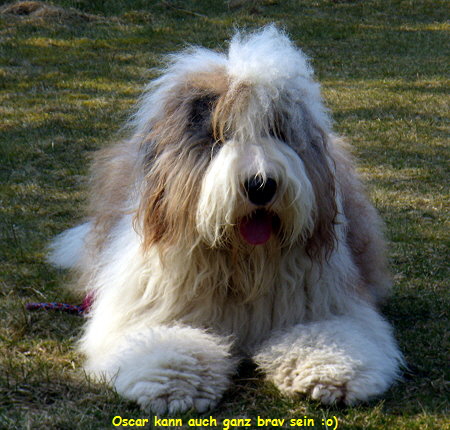 Oscar kann auch ganz brav sein :o)