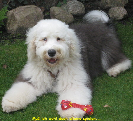 Mu ich wohl doch alleine spielen...