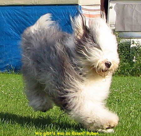 Wo gibt's was zu Essen? Ruben....