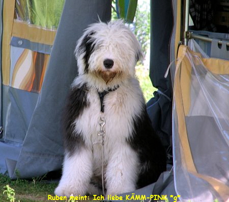 Ruben meint: Ich liebe KMM-PINK *g*