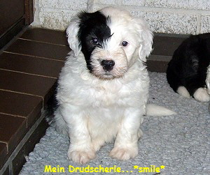 Mein Drudscherle...*smile*