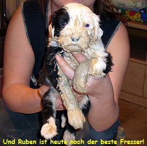 Und Ruben ist heute noch der beste Fresser!
