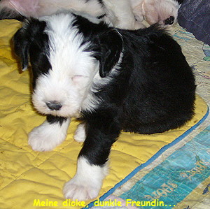 Meine dicke, dunkle Freundin...