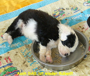 Auch DAS ist wieder Ruben!!!