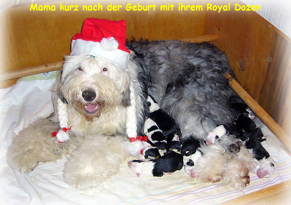 Mama kurz nach der Geburt mit ihrem Royal Dozen