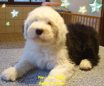 Nr. 3 - Rde
Spell of Love