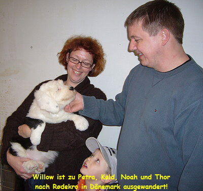 Willow ist zu Petra, Keld, Noah und Thor
nach Rdekro in Dnemark ausgewandert!