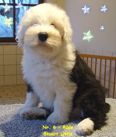 Nr. 6 - Rde
Stuart Little